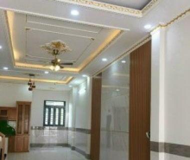 Thạch cao mẫu 31